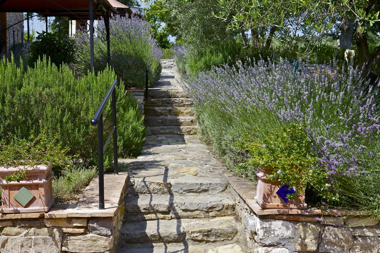 Bed and Breakfast Fonte Magia Castel de' Fiori Exterior foto